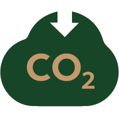 О пробке 16 углеродный негатив