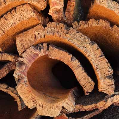 О пробке 5 кора пробкового дерева