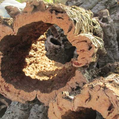 О пробке 3 Девственная пробка